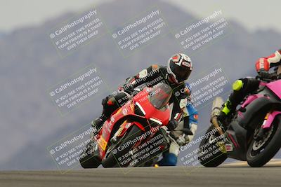 media/Jan-14-2023-SoCal Trackdays (Sat) [[497694156f]]/Turn 9 Set 1 (1120am)/